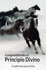 COMPRENDIENDO EL PRINCIPIO DIVINO - 9788412445794