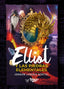 ELLIOT Y LAS PIEDRAS ELEMENTALES I Londaiz Montiel, Joaquín I Torbellino de Letras I 9788412541700