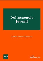 DELINCUENCIA JUVENIL - 9788413240466