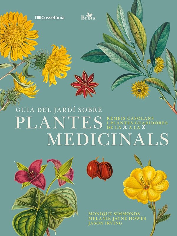 GUIA DEL JARDI SOBRE PLANTES MEDICINALS - 9788413562070
