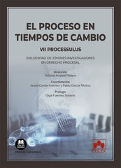EL PROCESO EN TIEMPOS DE CAMBIO - 9788413593487