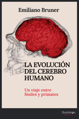 EVOLUCION DEL CEREBRO HUMANOLA - 9788413612249