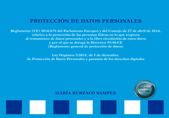 PROTECCION DE DATOS PERSONALES ESQUEMAS - 9788413770291