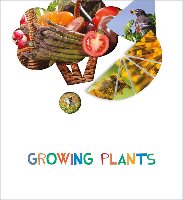 GROWINGS PLANTS 5AÑOS EI 20 LOOK AND SEE | AA,VV | 9788414029725 (Edelvives)