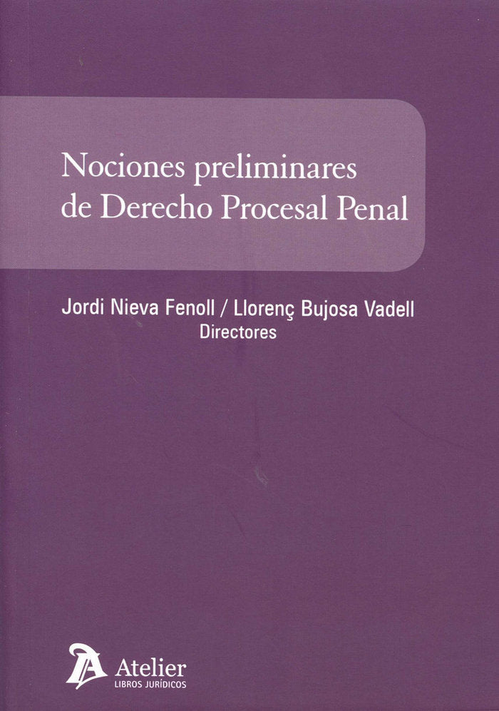 NOCIONES PRELIMINARES DE DERECHO PROCESAL PENAL - 9788416652006
