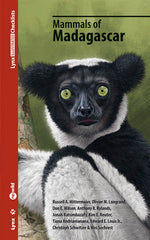 MAMMALS OF MADAGASCAR - 9788416728480