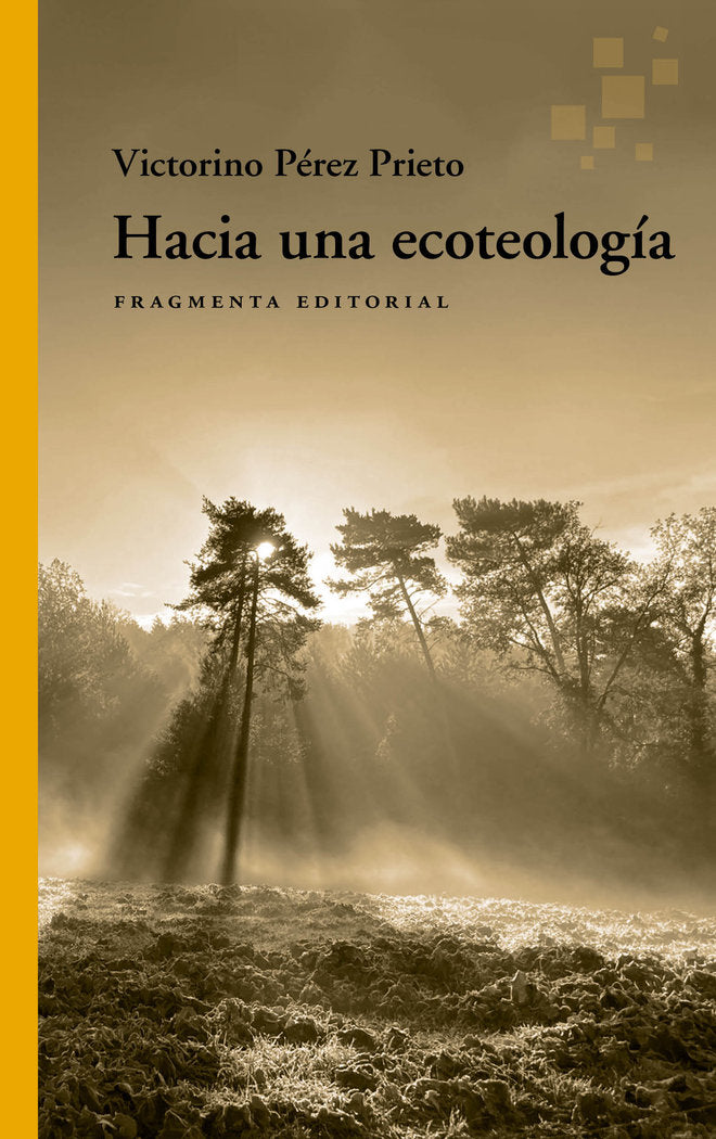 HACIA UNA ECOTEOLOGIA - 9788417796815