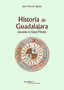HISTORIA DE GUADALAJARA DURANTE LA EDAD MEDIA - 9788418131547
