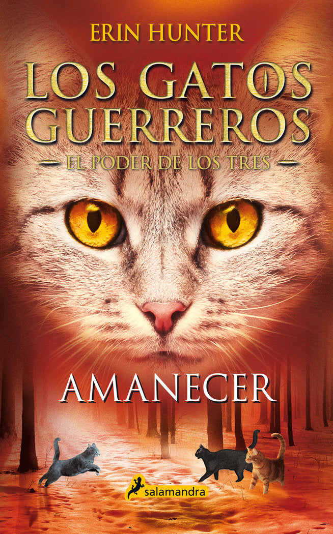 AMANECER (LOS GATOS GUERREROS EL PODER DE LOS TRES 6) | Hunter, Erin | 9788418174056 (Salamandra infantil y juvenil)