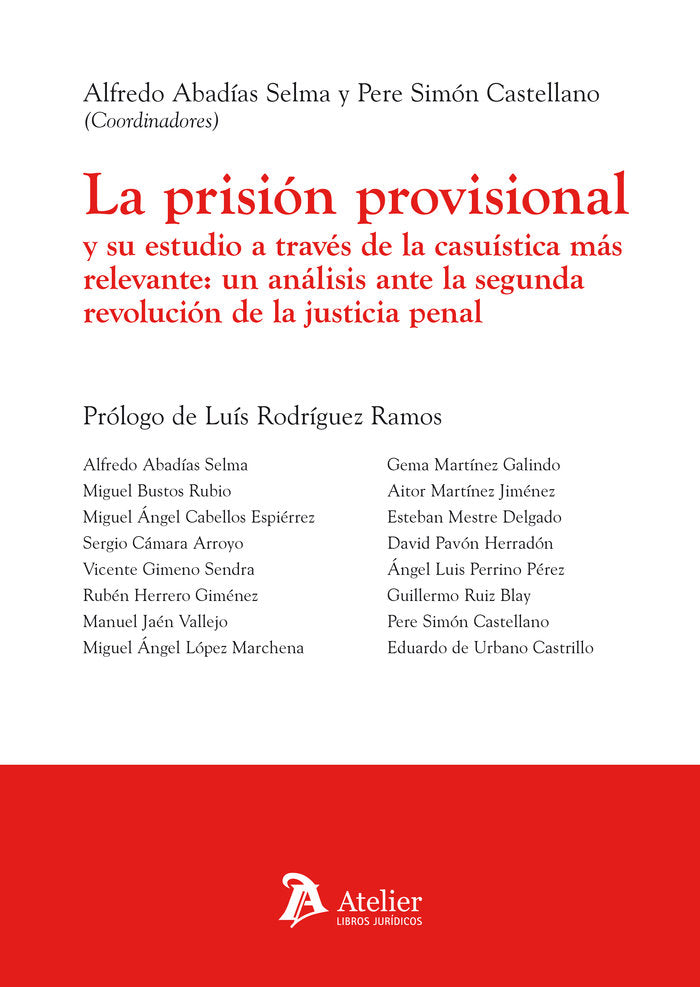 PRISION PROVISIONAL Y SU ESTUDIO A TRAVES DE LA CASUISTICA - 9788418244179