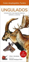 UNGULADOS INTRODUCCION A LAS ESPECIES IBERICASBALEARES Y - 9788418458064