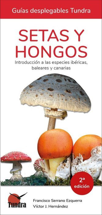 SETAS Y HONGOS INTRODUCCION A LAS ESPECIES IBERICAS BALEA - 9788418458118