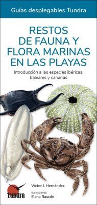 RESTOS DE FAUNA Y FLORA MARINAS EN LAS PLAYAS - 9788418458422