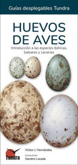 HUEVOS DE AVES GUIAS DESPLEGABLES TUNDRA - 9788418458491