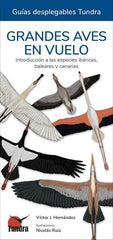 GRANDES AVES EN VUELO GUIAS DESPLEGABLES TUNDRA - 9788418458682