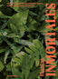 PLANTAS INMORTALES - 9788419043092