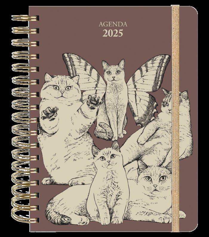 AGENDA ANUAL SEMANAL 2025 LAURA AGUSTI - 9788419215338