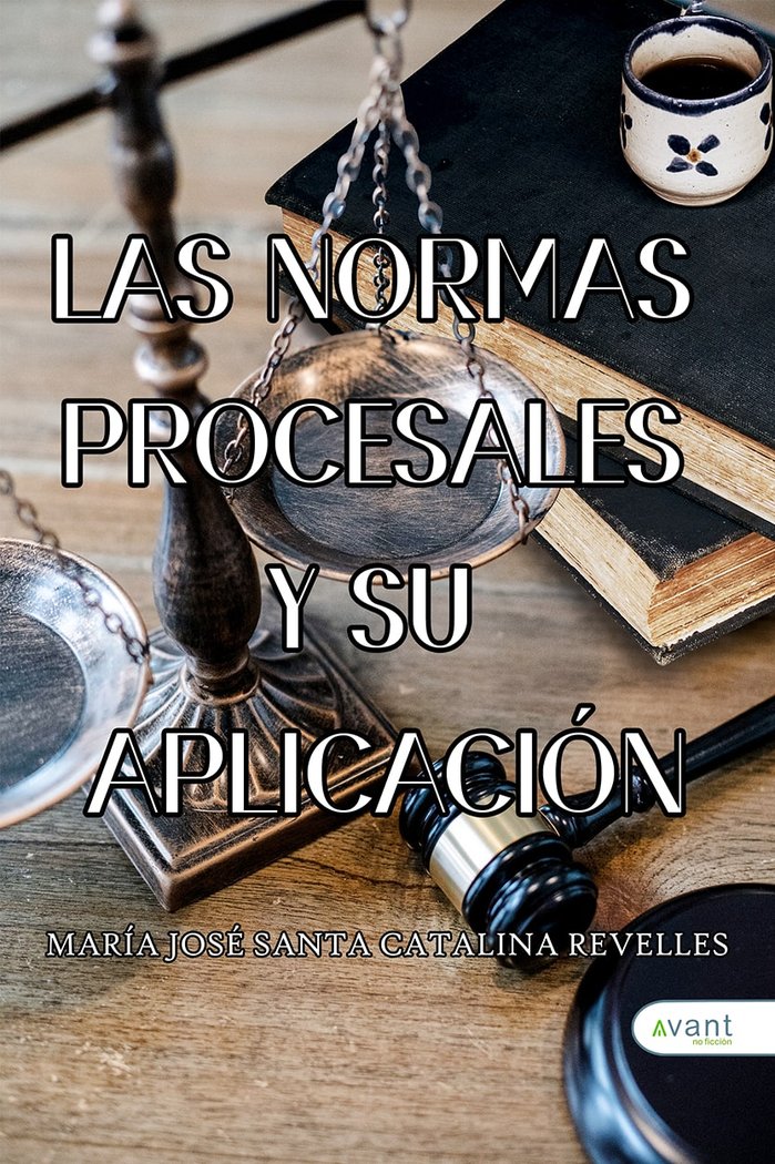 LAS NORMAS PROCESALES Y SU APLICACION - 9788419584519