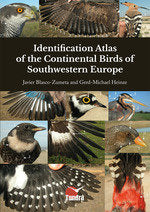 IDENTIFICATION ATLAS OF THE CONTINENTAL BIRDS OF SOUTHWESTE - 9788419624383