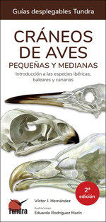 CRANEOS DE AVES PEQUEÑAS Y MEDIANAS - 9788419624635