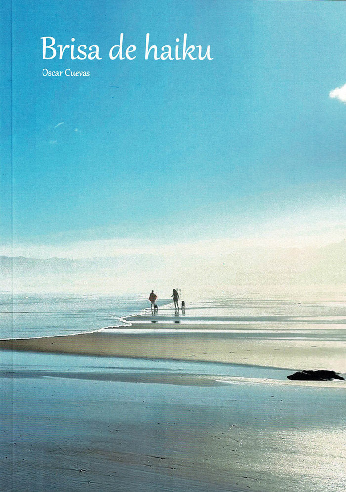 BRISA DE HAIKU - 9788419710062