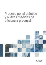PROCESO PENAL PRACTICO Y NUEVAS MEDIDAS DE EFICIENCIA PROCE - 9788419905918