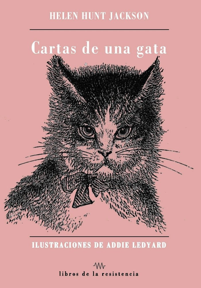 CARTAS DE UNA GATA - 9788419943095