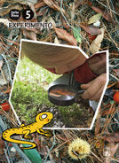 EXPERIMENTO C,ANUAL 5AÑOS 2010 MARISA LAGARTIJA MAGVAR11EI | AA,VV | 9788421841808 (Casals)