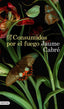 CONSUMIDOS POR EL FUEGO | Jaume Cabre | 9788423359233 (Destino)