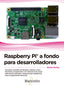 RASPBERRY PI A FONDO PARA DESARROLLADORES - 9788426724700