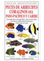 PECES DE ARRECIFES CORALINOS INDO PACIFICO Y CARIBO - 9788428211246