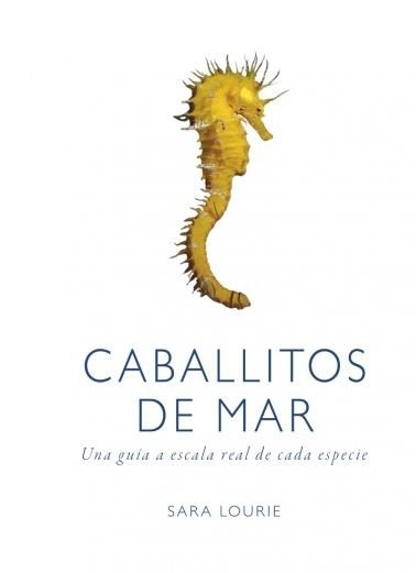 CABALLITOS DE MAR - 9788428216807