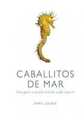 CABALLITOS DE MAR - 9788428216807