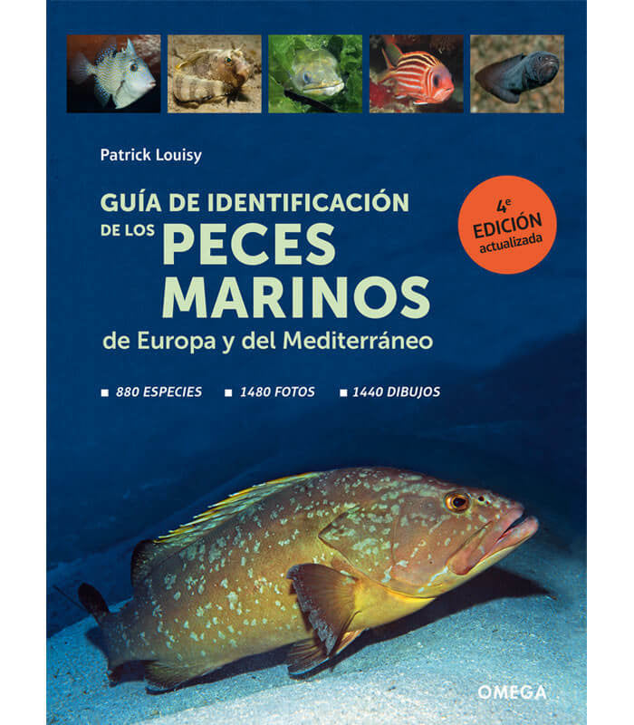 GUIA DE IDENTIFICACION DE LOS PECES MARINOS DE EUROPA - 9788428217774