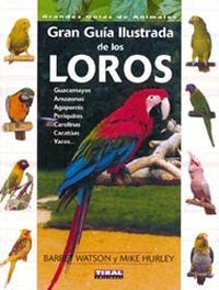 GRAN GUIA ILUSTRADA DE LOS LOROS - 9788430536900