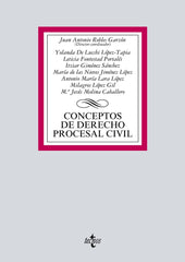 CONCEPTOS DE DERECHO PROCESAL CIVIL - 9788430971589