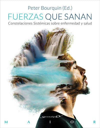 FUERZAS QUE SANAN - 9788433029218
