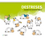 Destreses. Quadern de raonament lògic 3. Cosialls Escribano, Paula (Text) 9788441230637