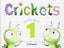 CRICKETS 1 3AÑOS WB PACK 16 RICIN03EI | Varios Autores | 9788466824477 (Richmond Santillana)