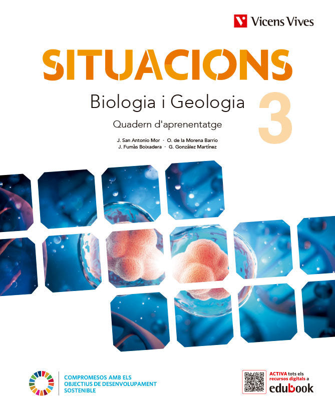 Situacions 3. Biologia i Geologia. Quadern d'aprenentatge | Varios autores | 9788468284385 (VICENS VIVES)