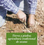 TIERRA Y PIEDRA - 9788476288955