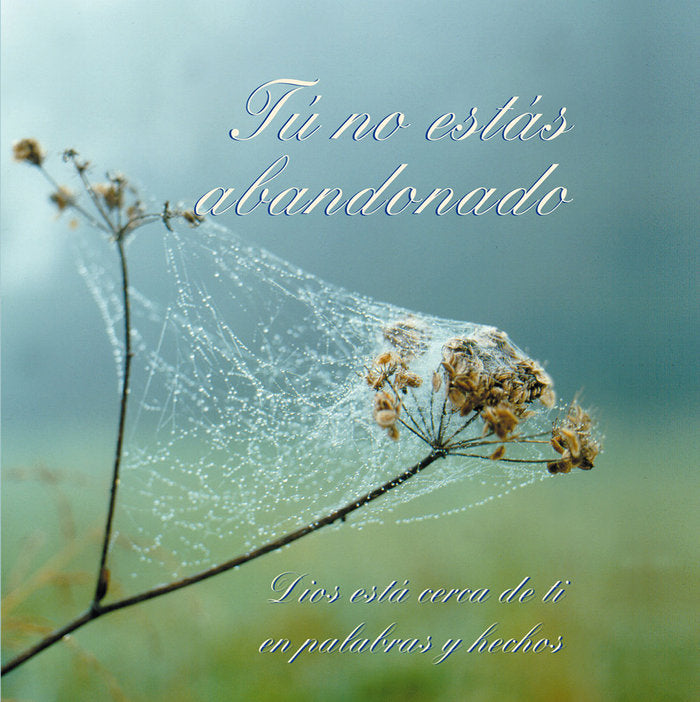 TU NO ESTAS ABANDONADO I ,,Gabriele I Editorial Gabriele I 9788482510750