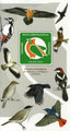 10 RUTAS ORNITOLOGICAS POR SOBRARBE Y LA RIBAGORZA - 9788483218365