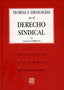 TEORIAS E IDEOLOGIAS EN EL DERECHO - 9788484444725