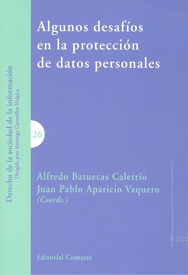 ALGUNOS DESAFIOS EN LA PROTECCION DE DATOS PERSONALES - 9788490456385