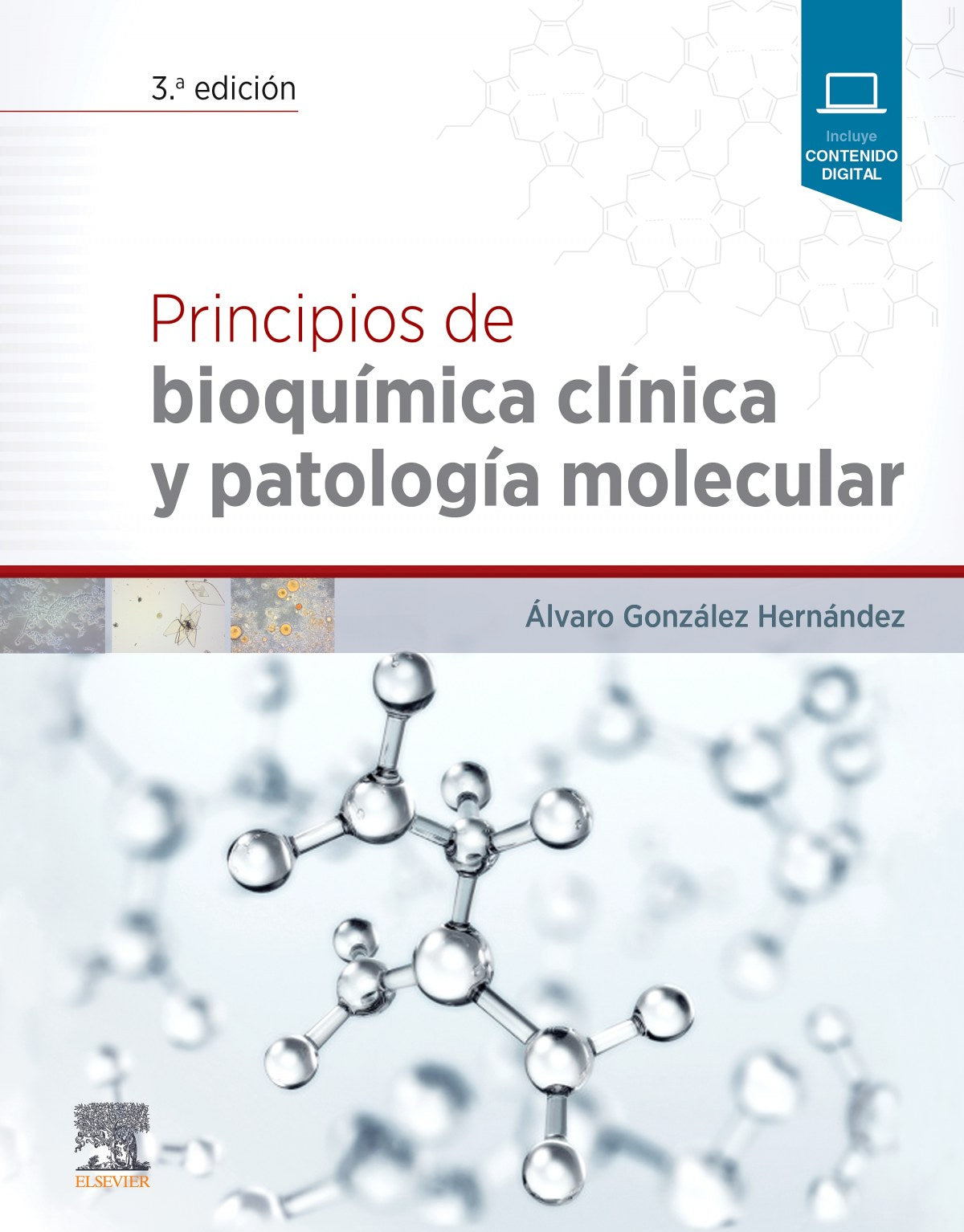 PRINCIPIOS DE BIOQUÍMICA CLÍNICA Y PATOLOGÍA MOLECULAR Gonzalez Hernandez ELSEVIER EDITORIAL 2019 - 9788491133896