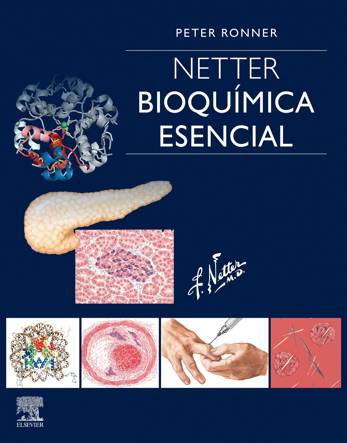 NETTER. BIOQUÍMICA ESENCIAL Ronner, Peter ELSEVIER EDITORIAL 2019 - 9788491135159
