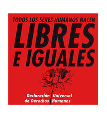 LIBRES E IGUALES DECLARACION UNIVERSAL DE DERECHOS HUMANOS - 9788493869205