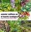 ASOCIAR CULTIVOS EN EL HUERTO ECOLOGICO - 9788494433436