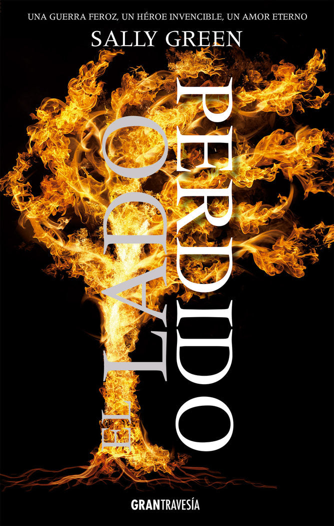 LADO PERDIDO,EL | Green,sally | 9788494528217 (Oceano)